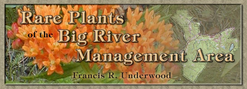 Rare Plants of the Big River Management Area
