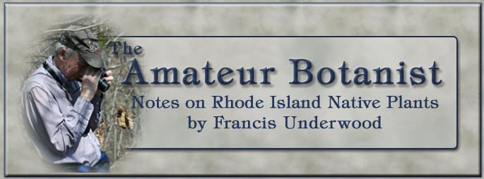 The Amateur Botanist