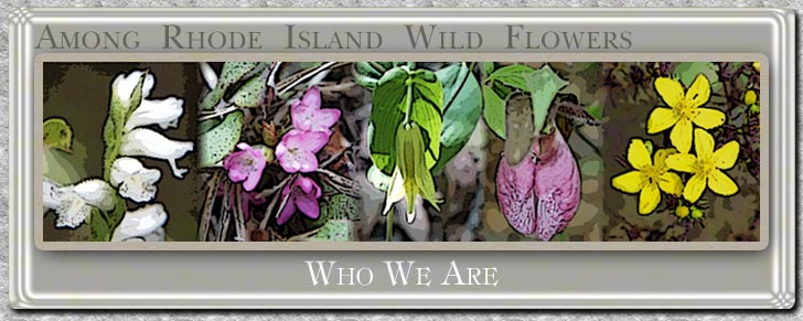 Who We Are
