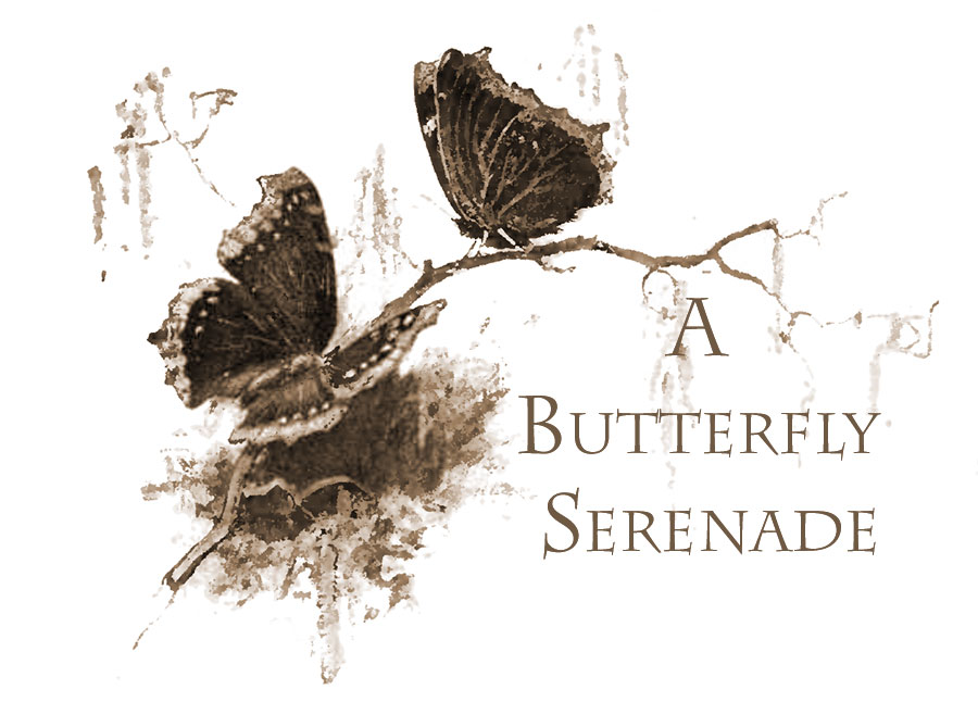 Butterfly Seranade