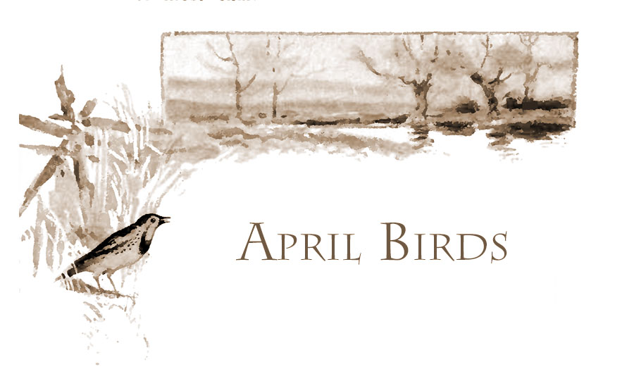 April Birds