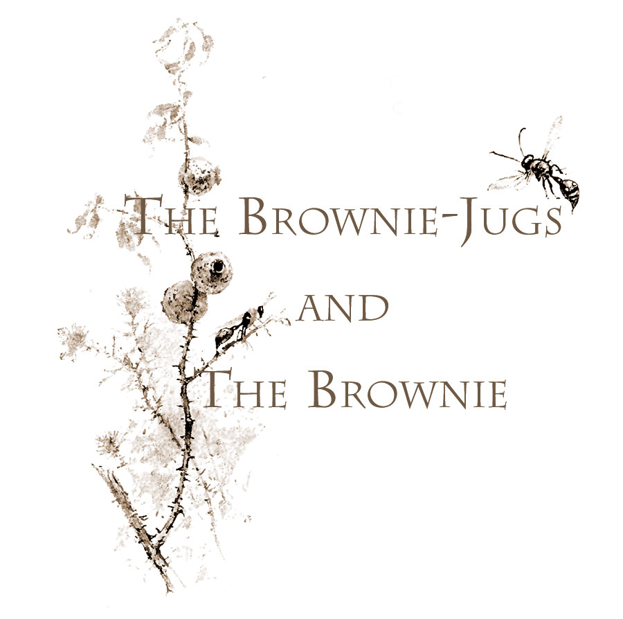 The Brownie-jugs and the Brownie