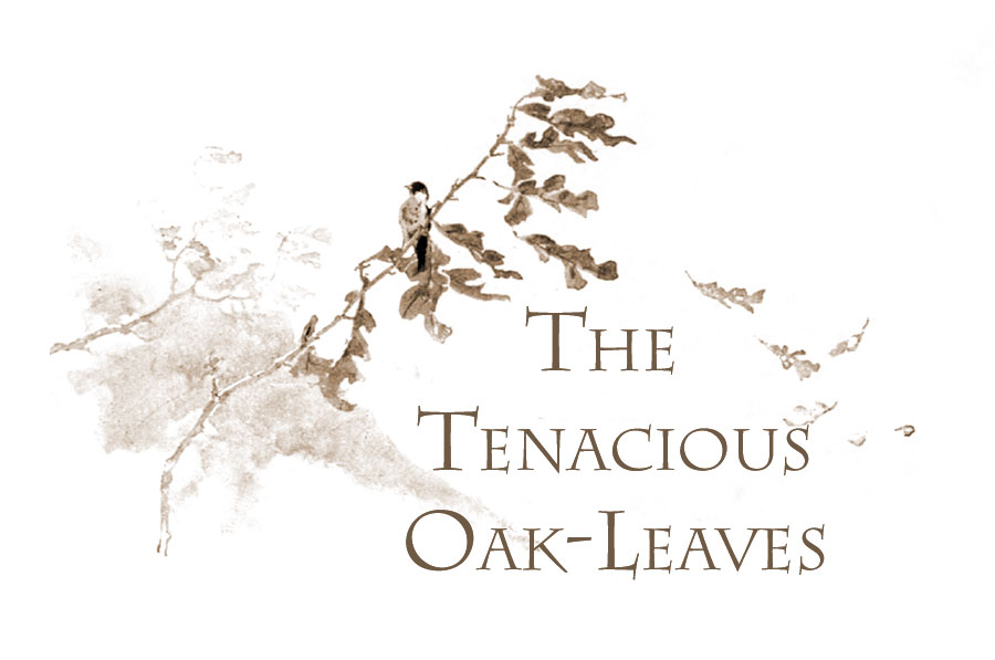 The Tenacious Oak-leaves