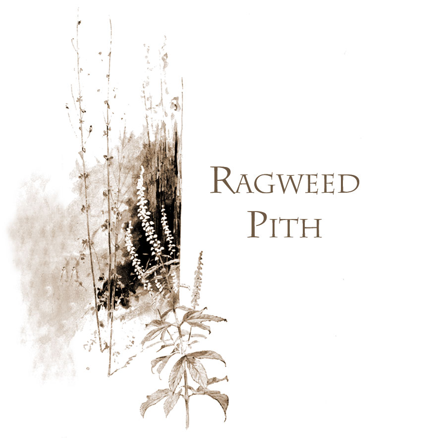 Ragweed Pith