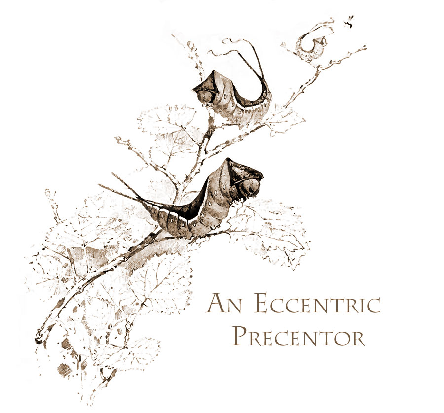 An Eccentric Precentor