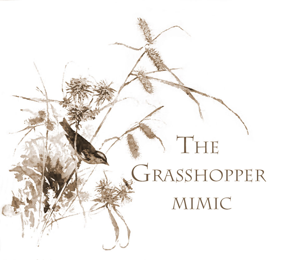 The Grass-hopper Mimic
