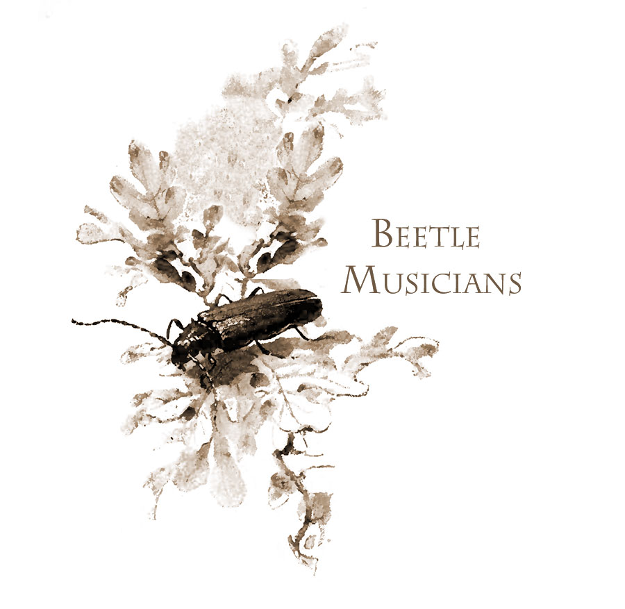 Beetle Musicians