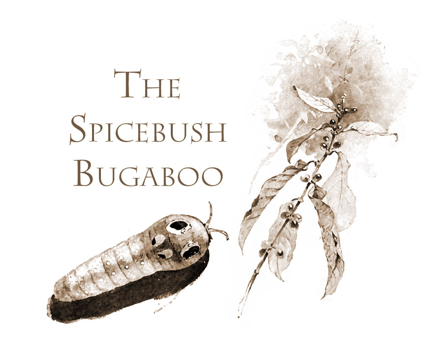Spice-bush Bugaboo