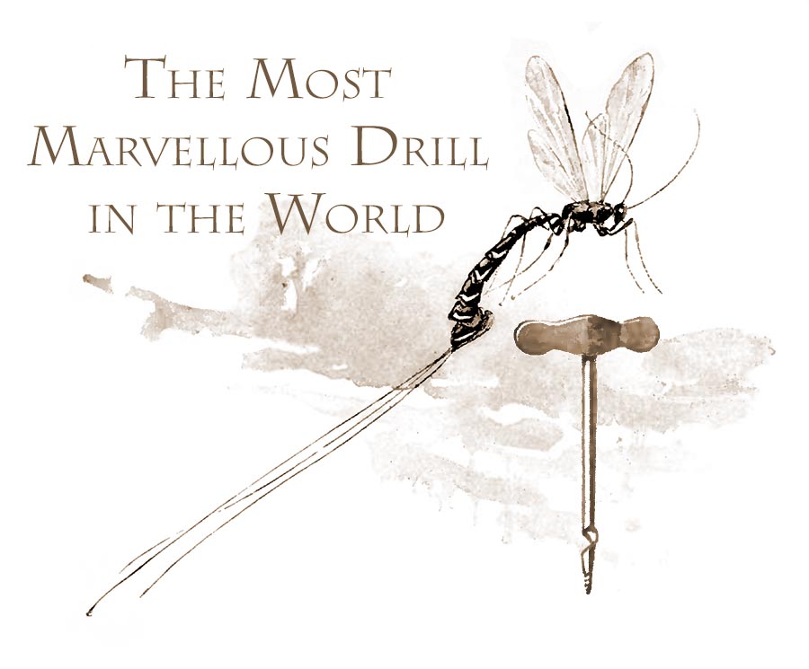 The most marvellous drill
