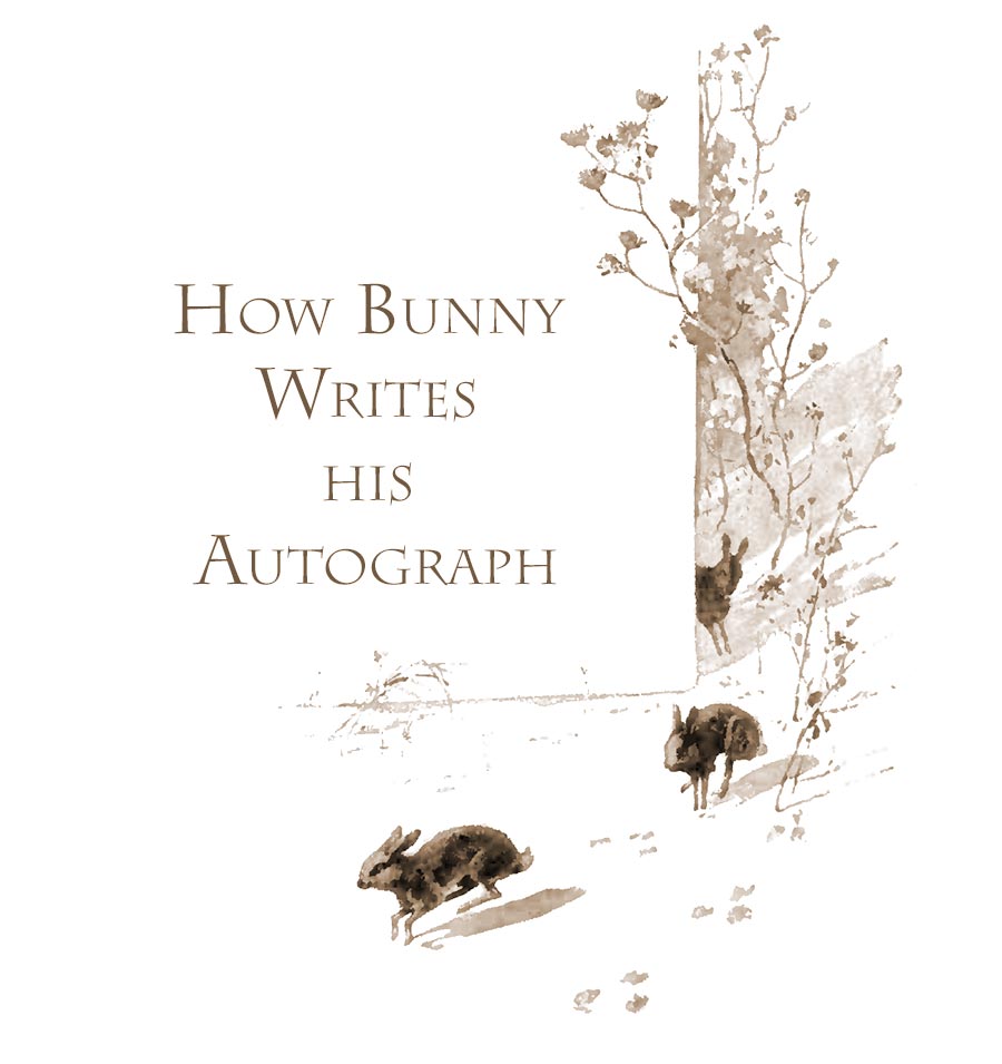 How bunny writes his sutogragh