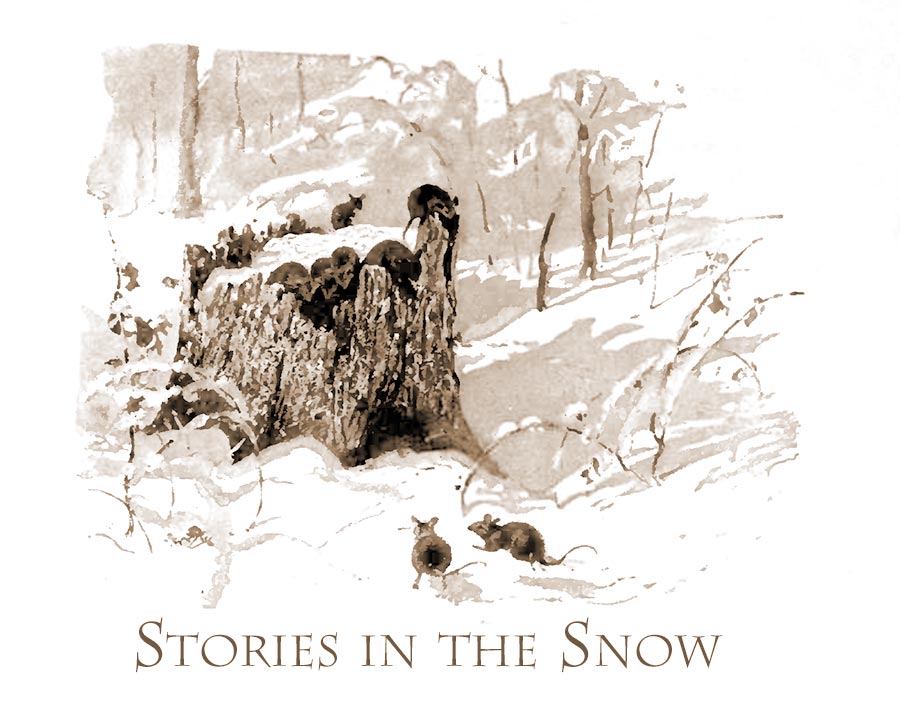 stories in the snow