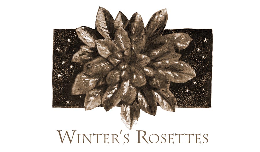 Winter Rosettes
