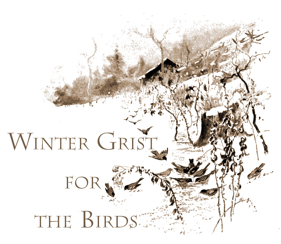 Winter Grist for the Birds