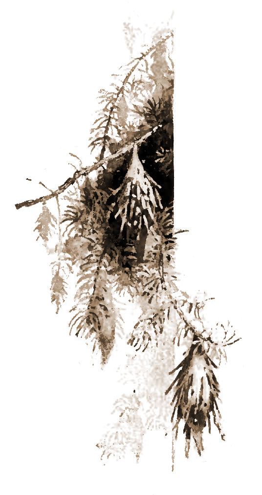 stick-covered baskets