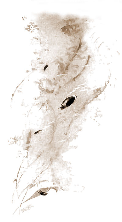 A bubble givesn them bouyancy