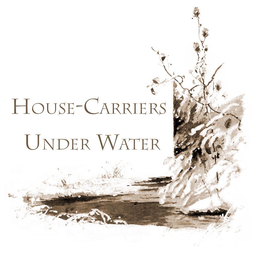 House Carriers under water