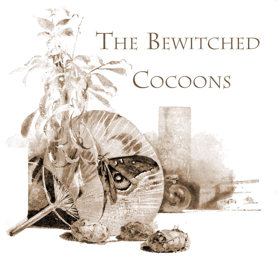 Tne Bewitched Cocoons