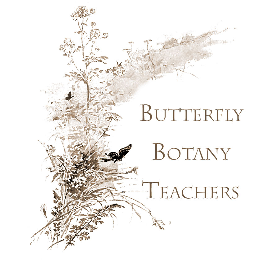 Butterfly Botany Teachers