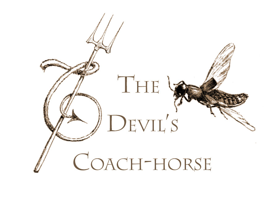 The Devil's Coach Horse