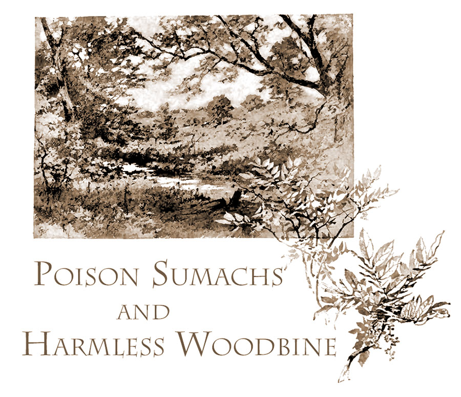 Poison Sumach adn Harmless Woodbine