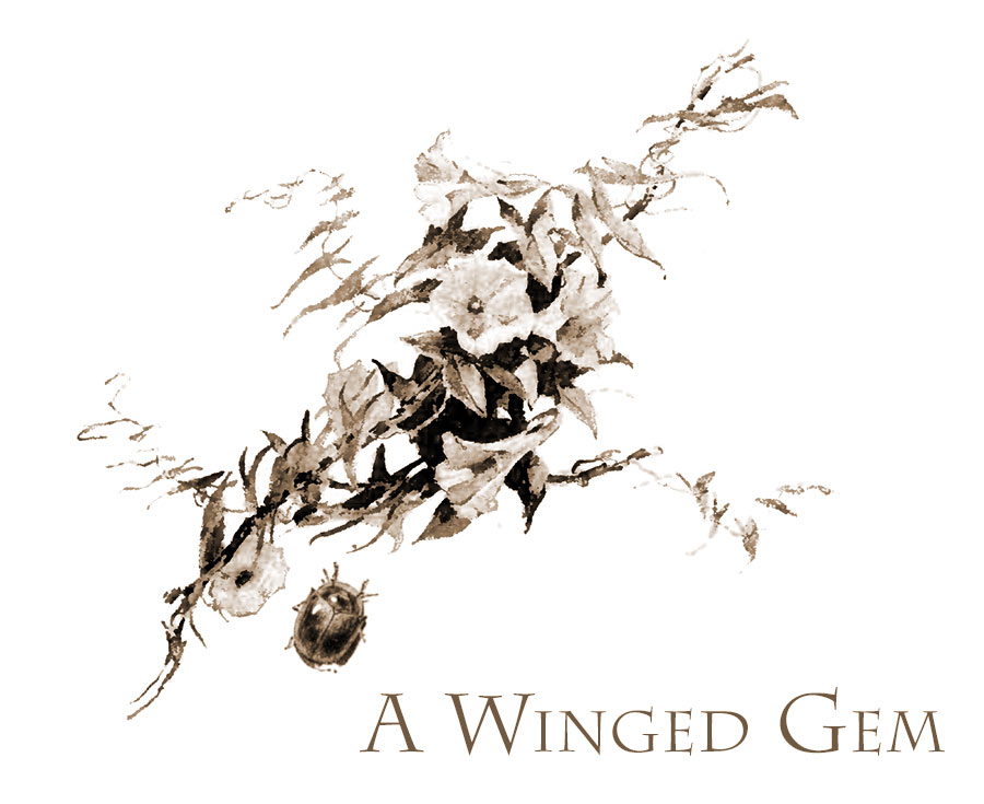 A Winged Gem