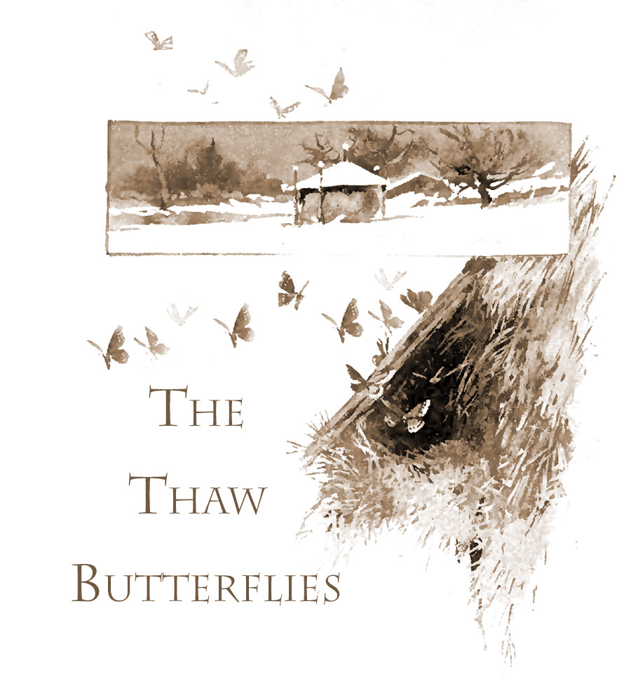 The Thaw Butterflies
