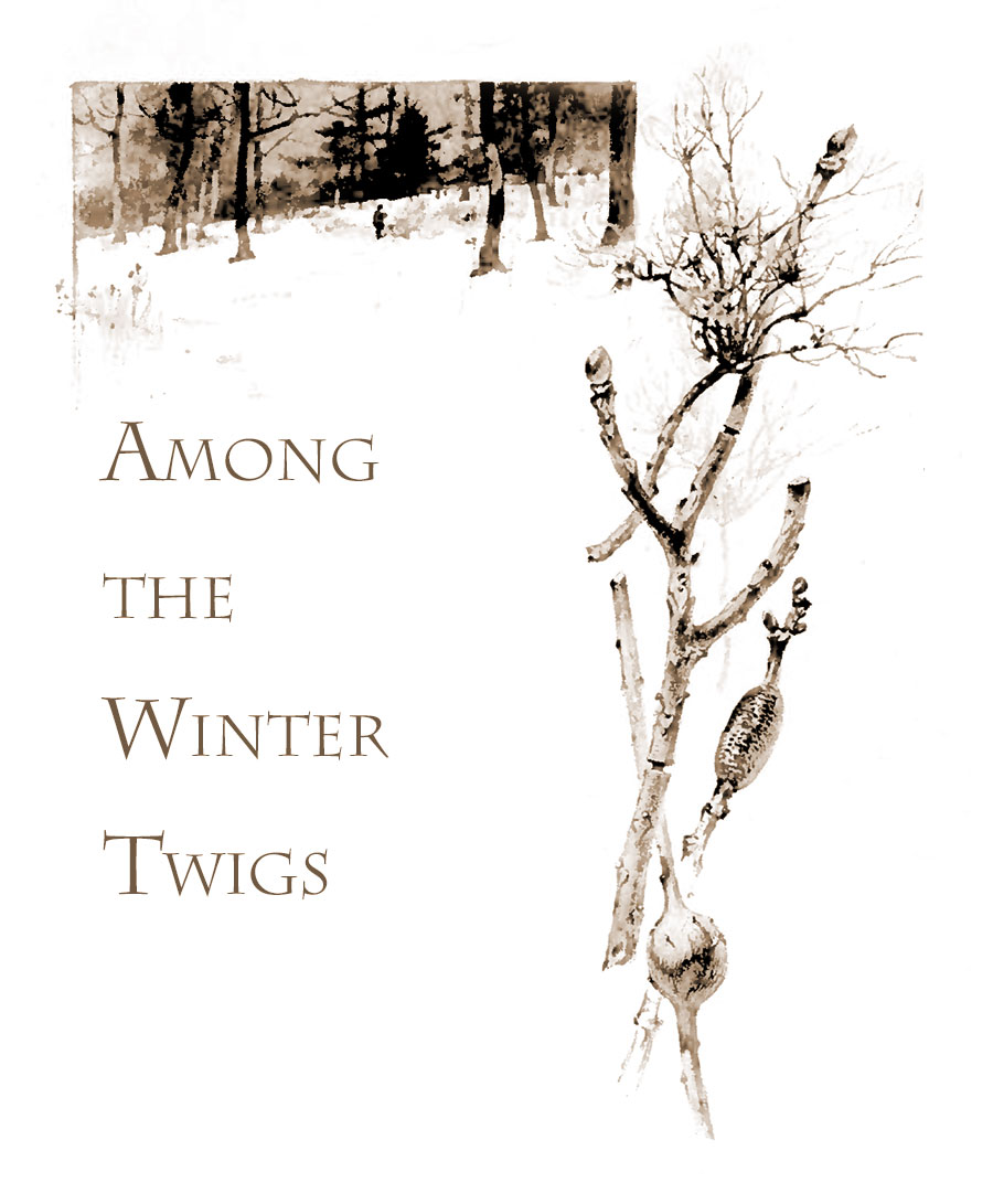Among the winter twigs