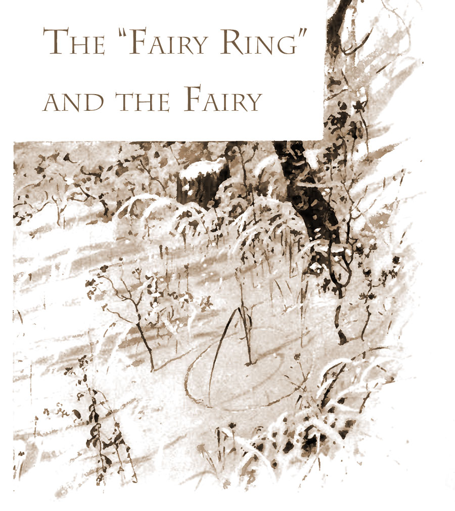 The Fairy ring and hte fairy