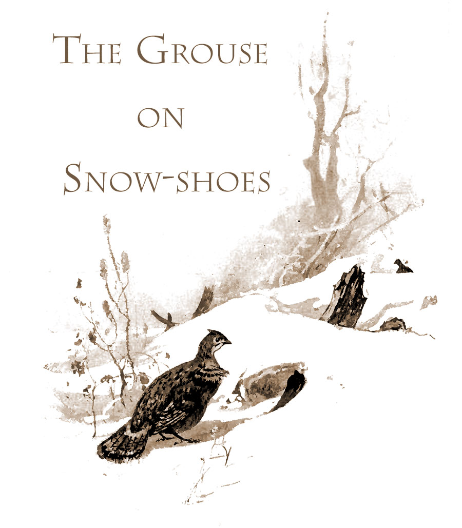 The Grouse on Snow-shoes