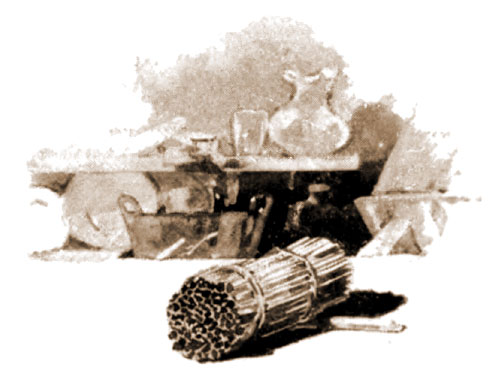 Pilgrims scouring brush