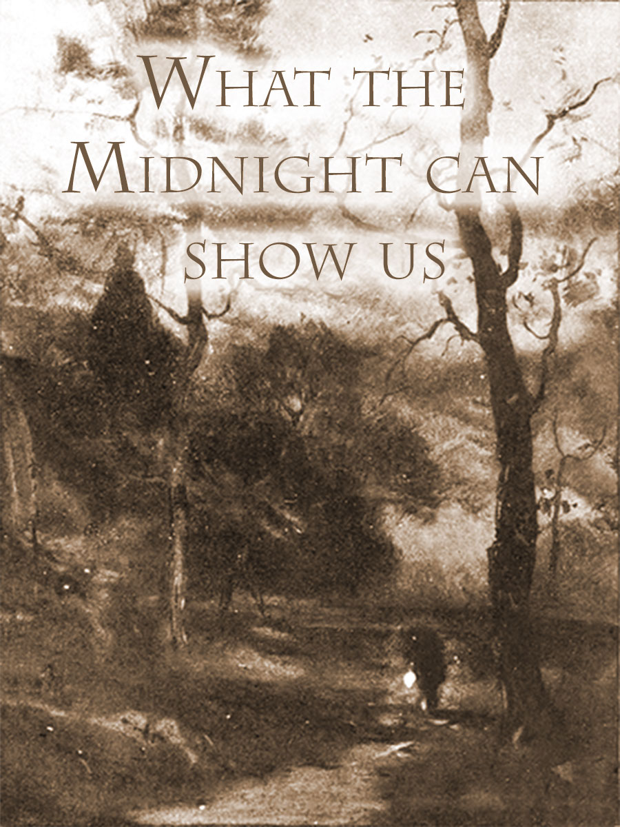 What can Midnight show us?