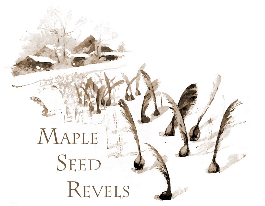 Maple seed Revels