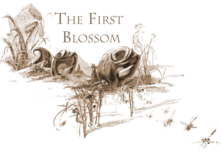 The First Blossom