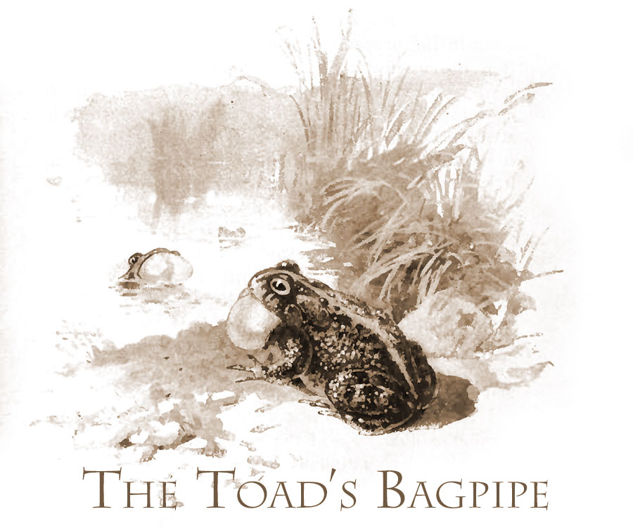 The Toad's Bagpipe