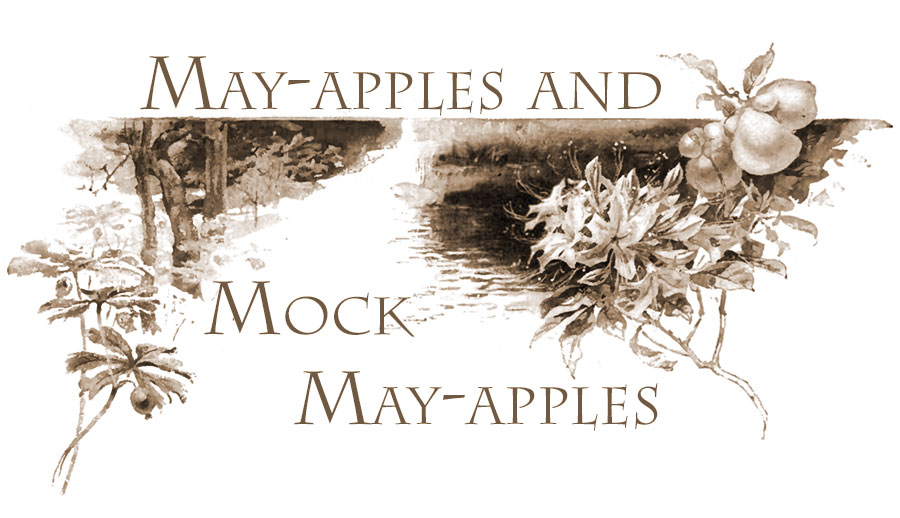 May Aplles adn Mock May-apples