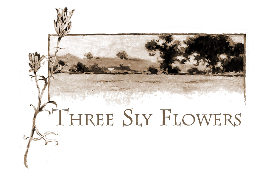 Three Sly Flowers