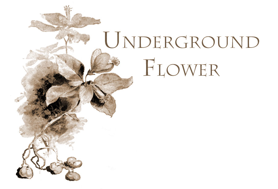 Underground Flower