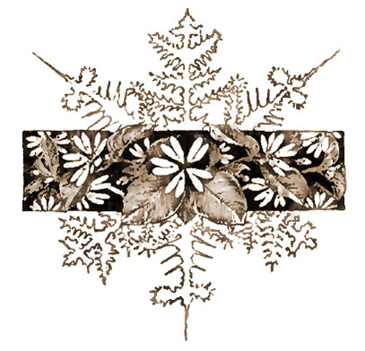 Chickweed and snowflake