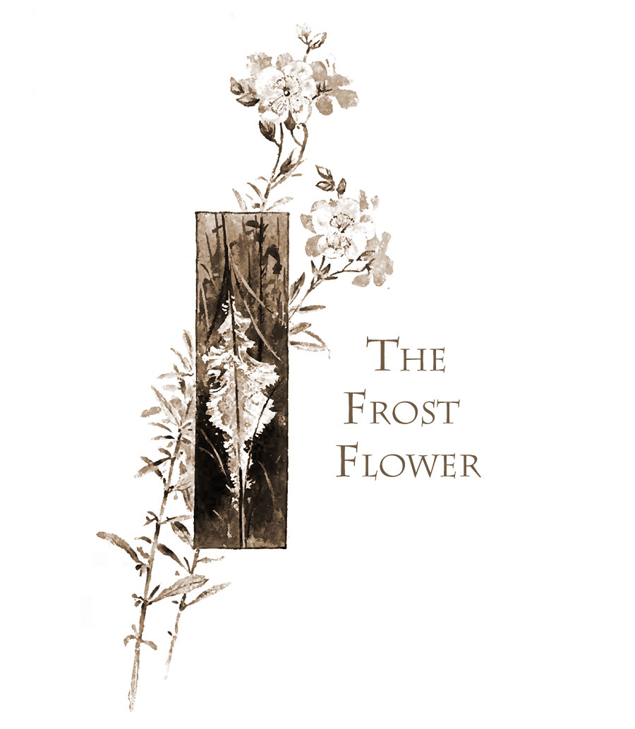 Frost Flower