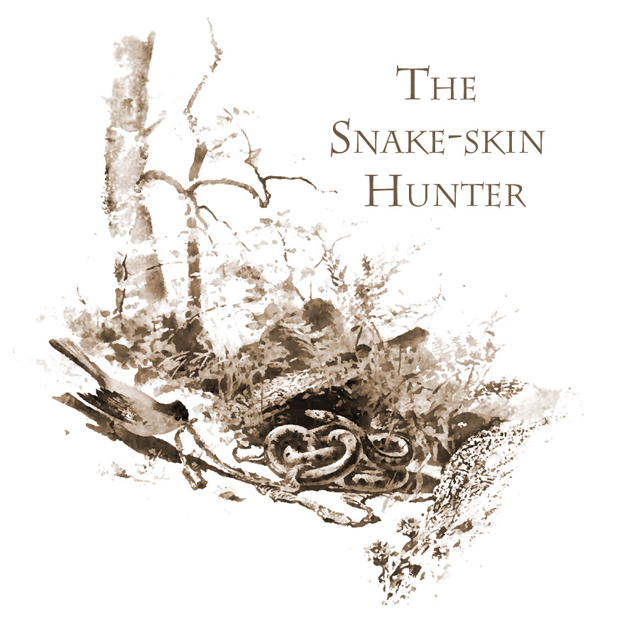 The Snake-skin Hunter