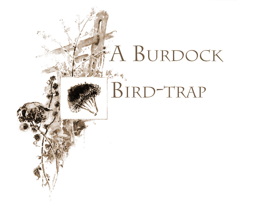 The Burdock Trap