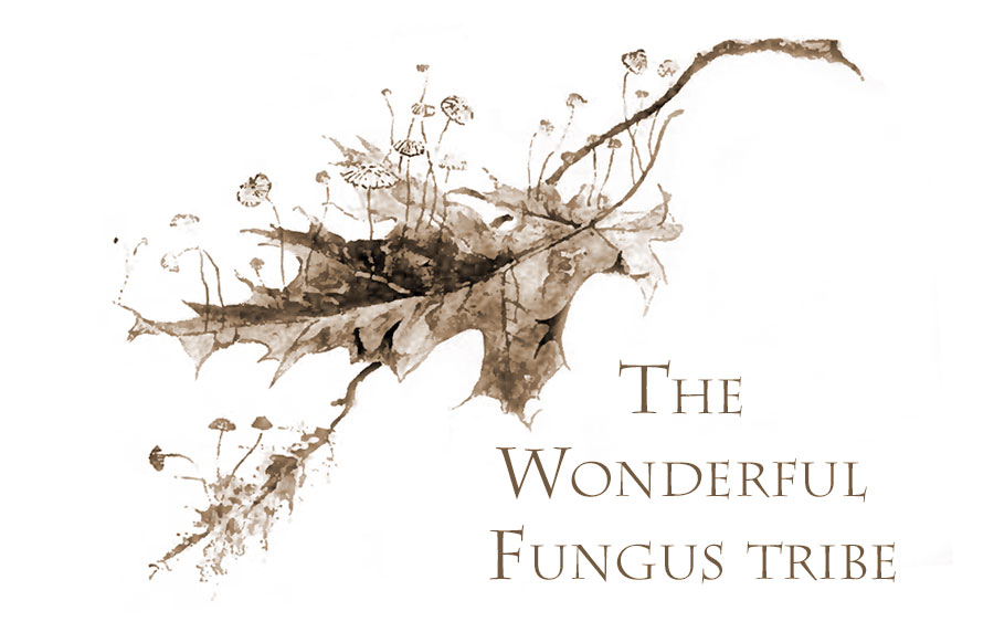 The Wonderful Fungus Tribe