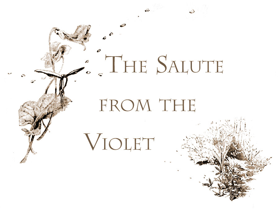 The Salute from the Violet