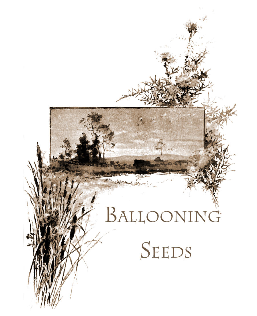 Ballooning Seeds