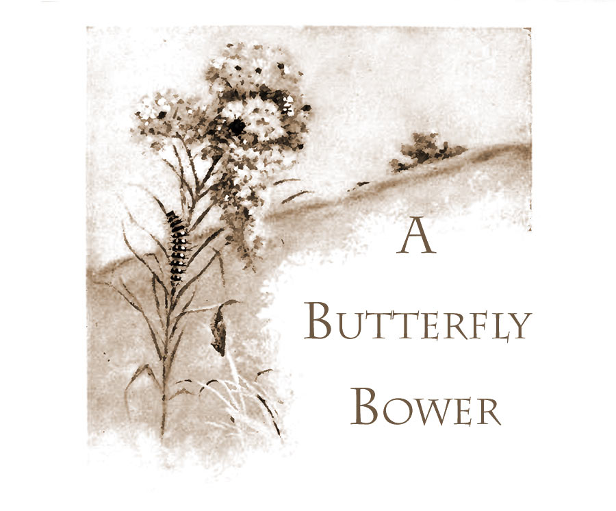 Butterfly Bower