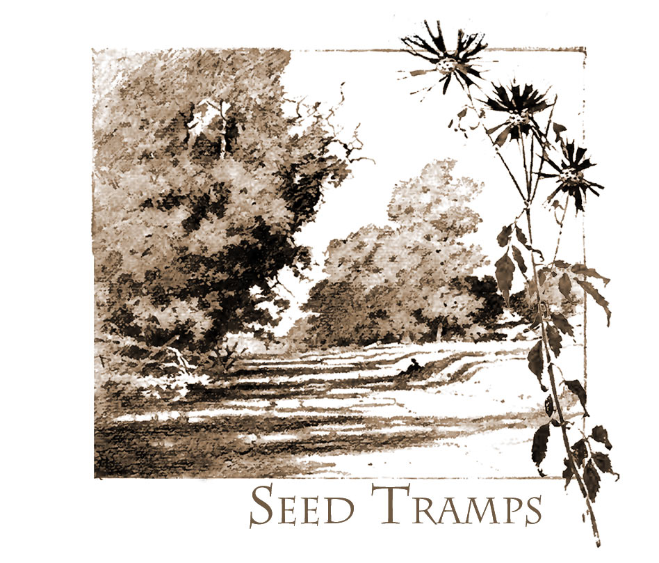 Seed tramps
