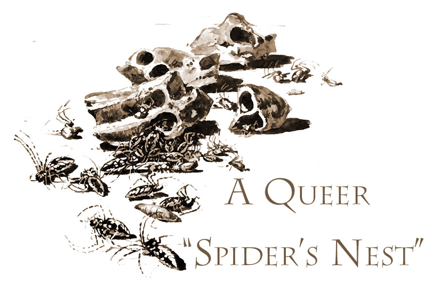 A Queer Spider's Nest