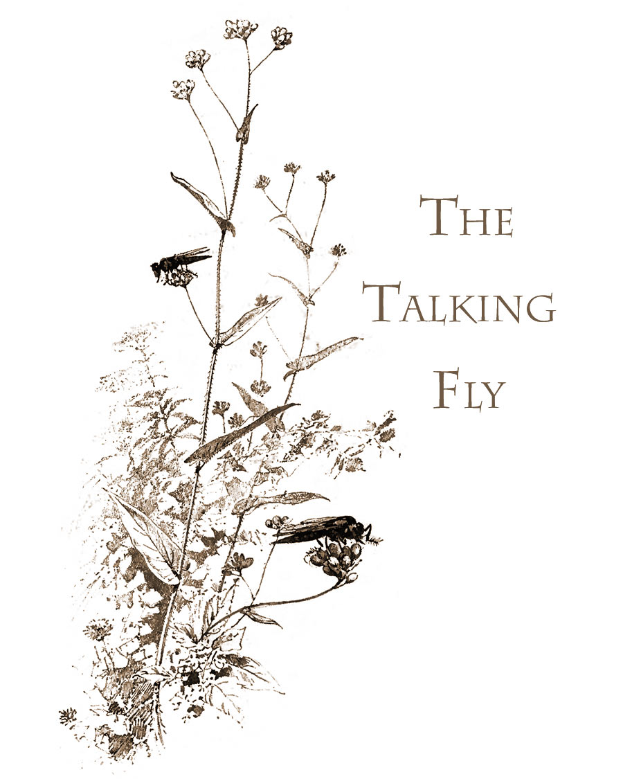 The Talking Fly