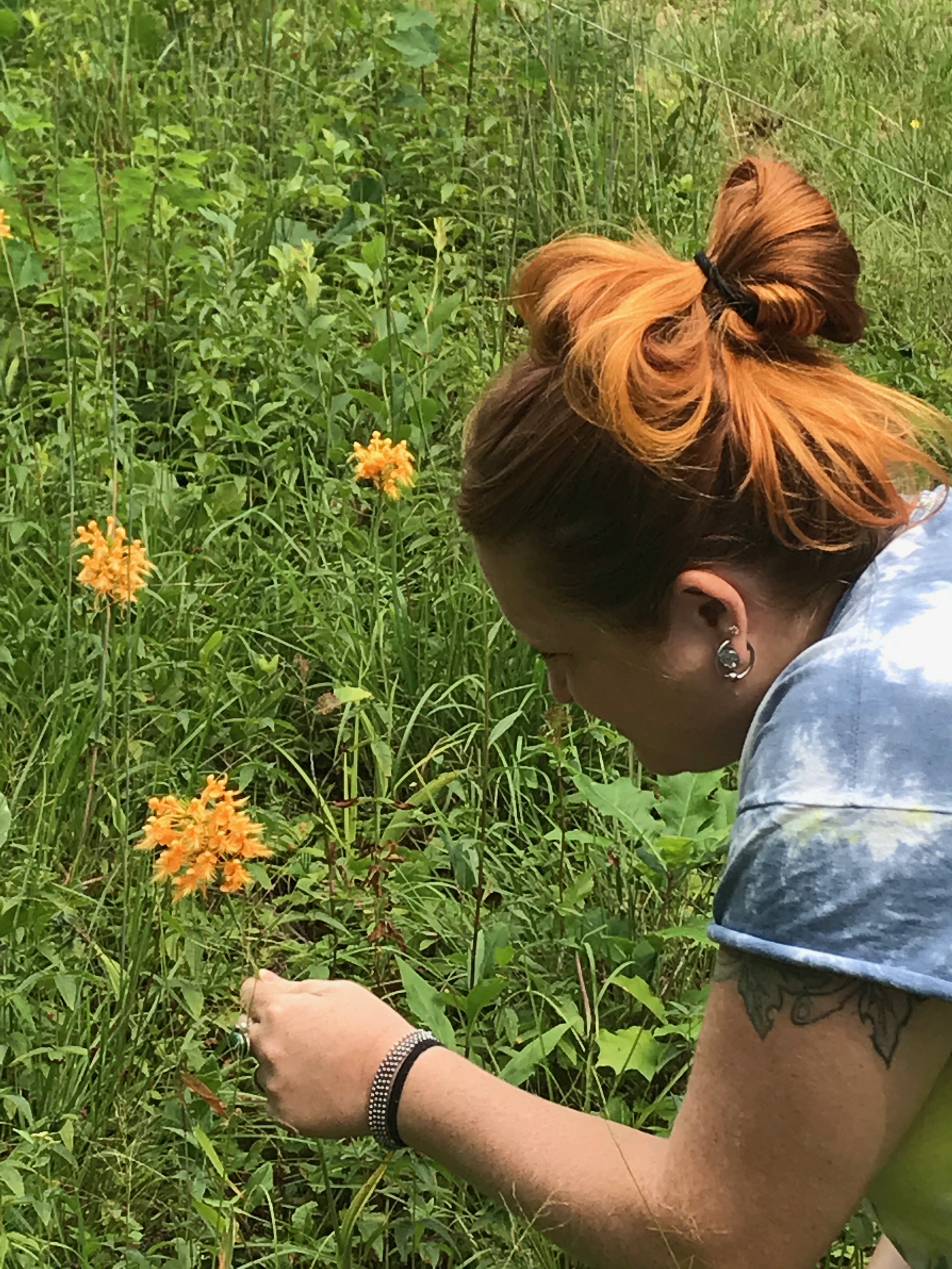orange fringed bog-orchid--Robin Baranowski